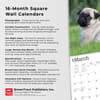 image Pug Puppies 2024 Wall Calendar Fourth Alternate Image width=&quot;1000&quot; height=&quot;1000&quot;