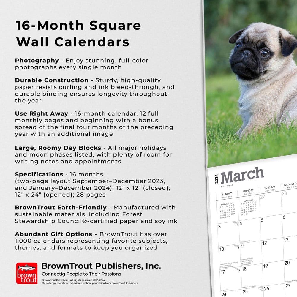 Pug Puppies 2024 Wall Calendar Fourth Alternate Image width=&quot;1000&quot; height=&quot;1000&quot;