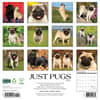 image Just Pugs 2025 Wall Calendar First Alternate Image width="1000" height="1000"