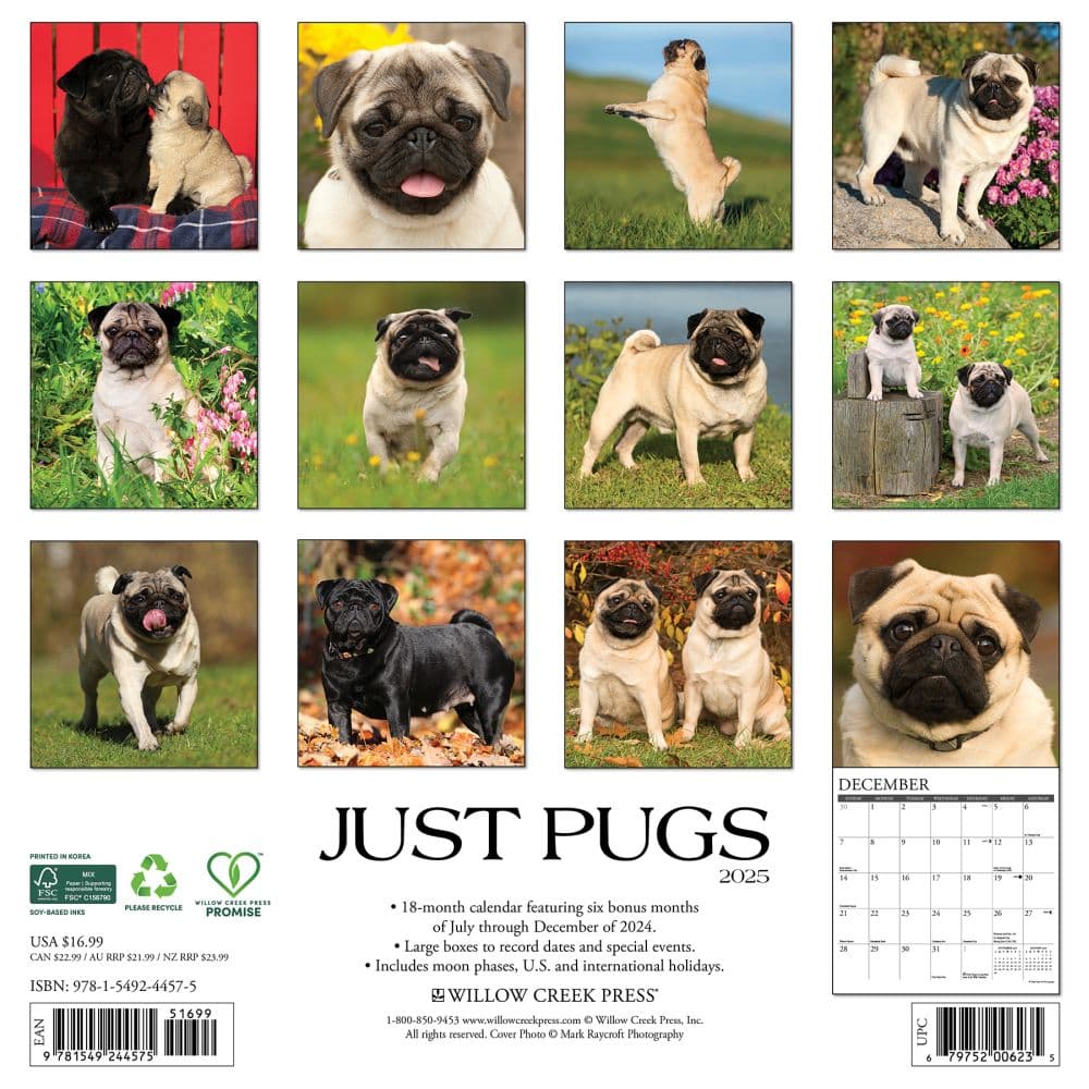 Just Pugs 2025 Wall Calendar First Alternate Image width="1000" height="1000"