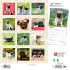 image Pug Puppies 2024 Wall Calendar First Alternate Image width=&quot;1000&quot; height=&quot;1000&quot;