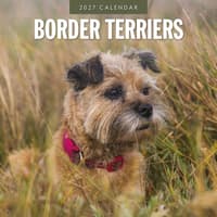 image Border Terriers 2027 Wall Calendar Main Product Image