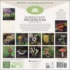 image Miraculous Mushroom 2026 Wall Calendar First Alternate Image