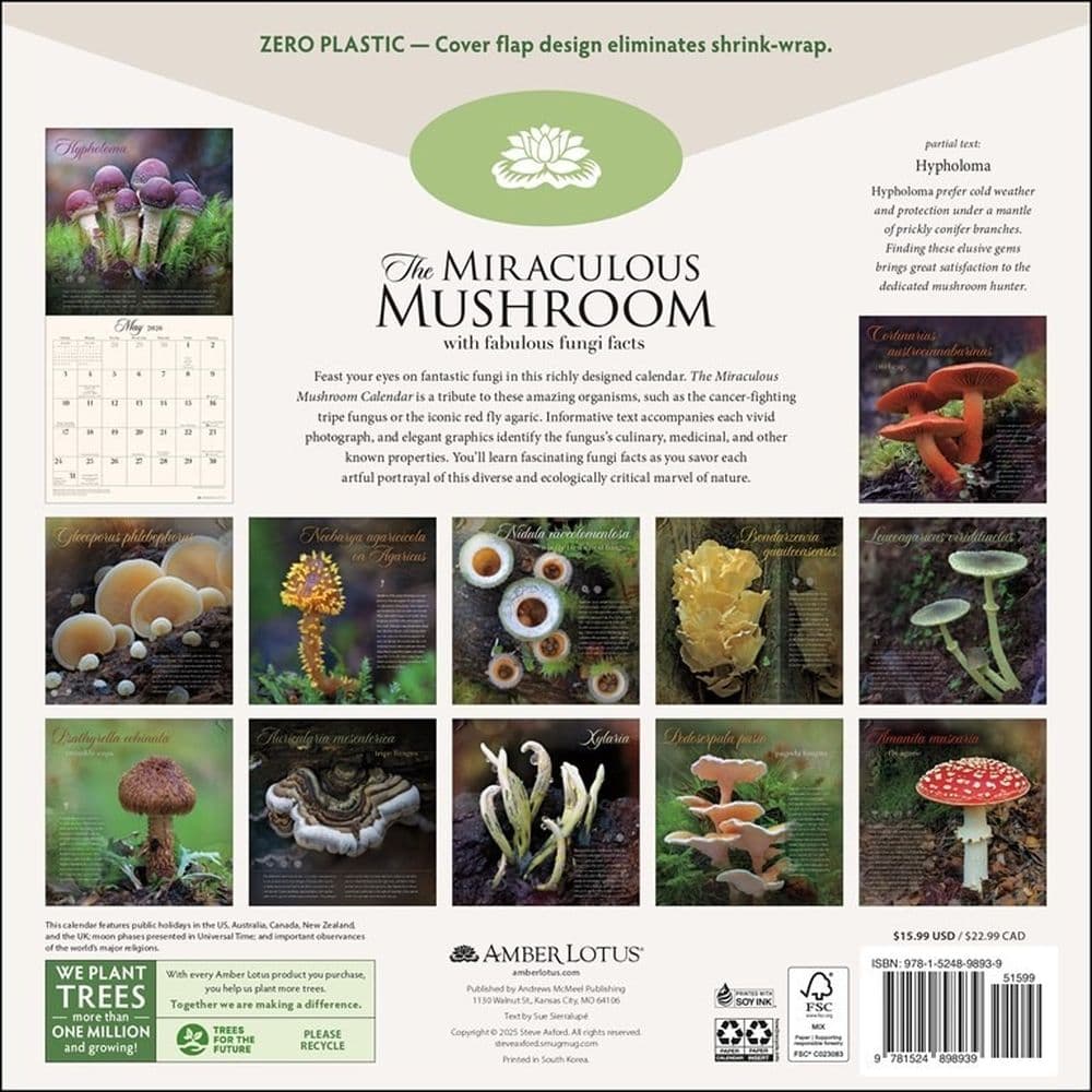Miraculous Mushroom 2026 Wall Calendar First Alternate Image