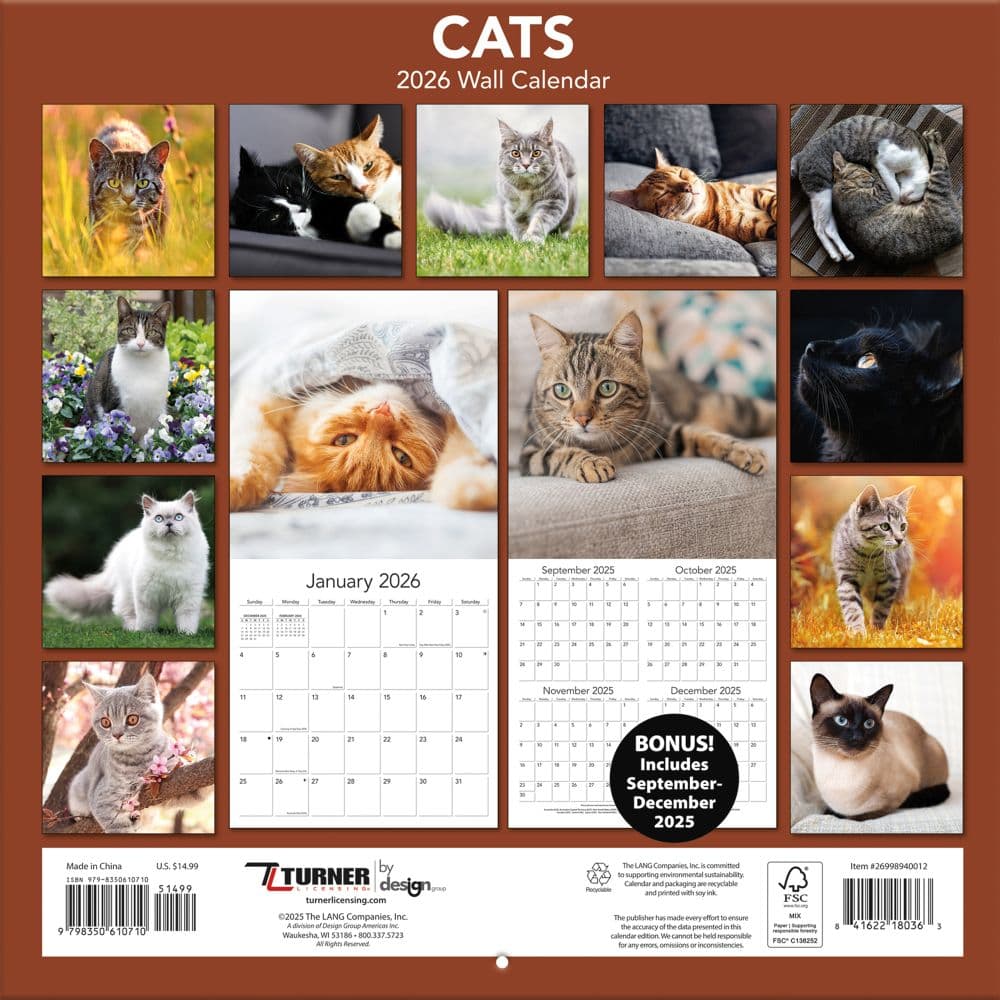Cats Photo 2026 Wall Calendar, 12'' X 12'', 12-Month Calendar with Stapled Binding