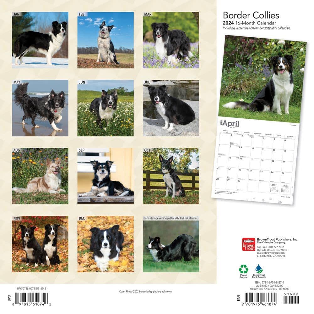 Border Collies 2024 Wall Calendar