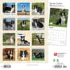 image Border Collies 2024 Wall Calendar First Alternate Image width=&quot;1000&quot; height=&quot;1000&quot;