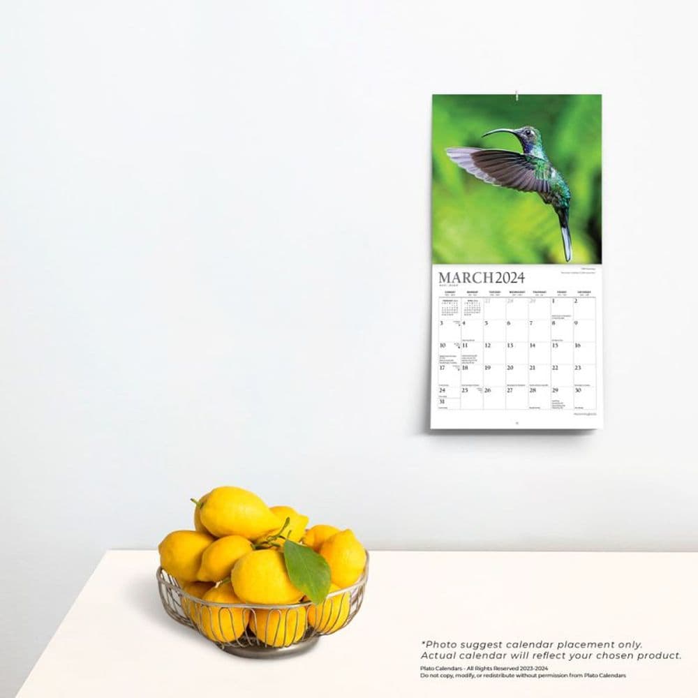 Hummingbirds 2024 Mini Wall Calendar Third Alternate Image width=&quot;1000&quot; height=&quot;1000&quot;