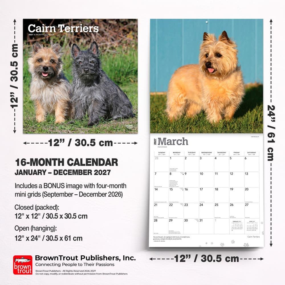 Cairn Terriers 2027 Wall Calendar Seventh  Alternate Image