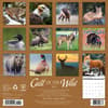 image Call of the Wild 2025 Wall Calendar First Alternate Image width="1000" height="1000"