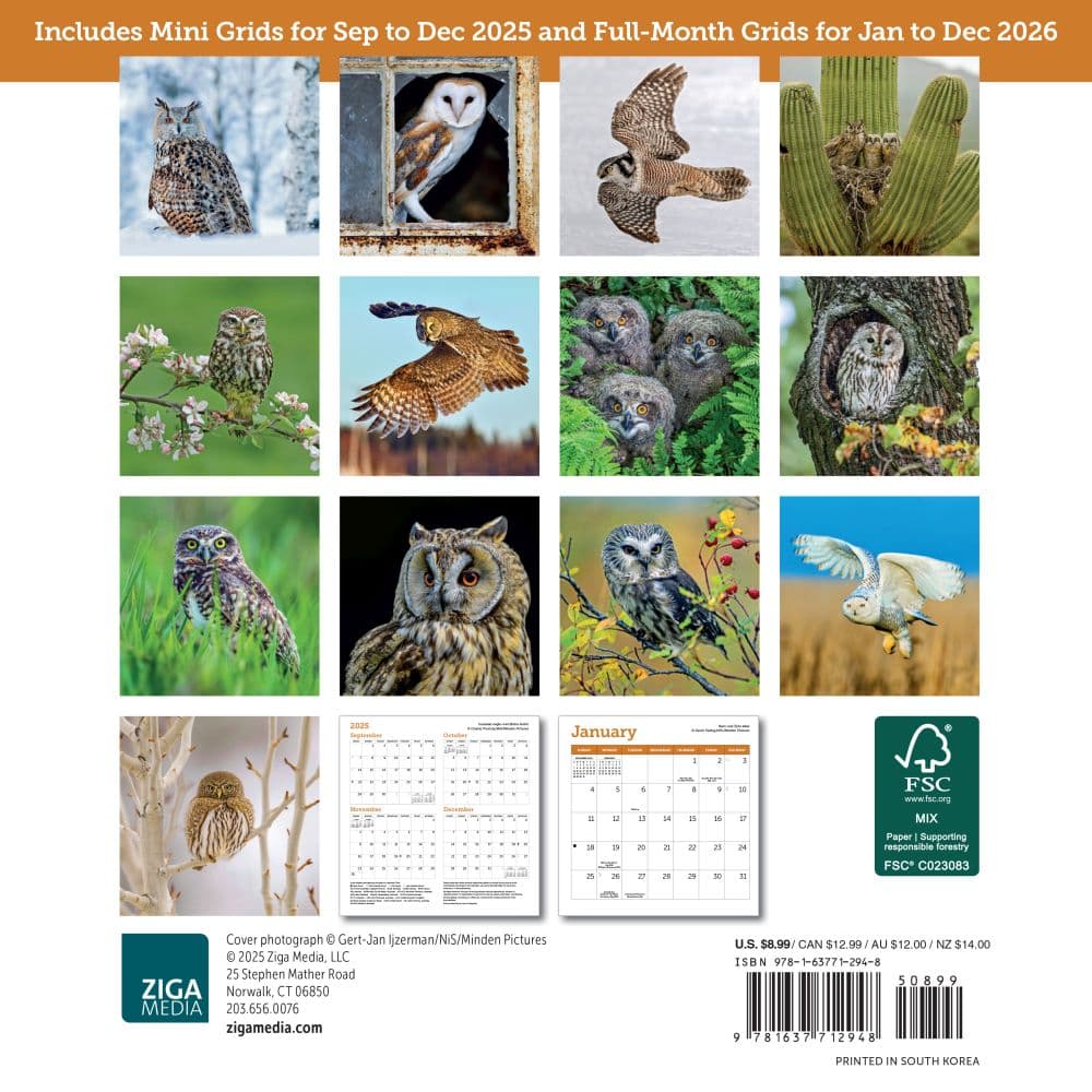 Owls 2026 Mini Wall Calendar First Alternate Image