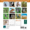 image Owls 2026 Mini Wall Calendar First Alternate Image