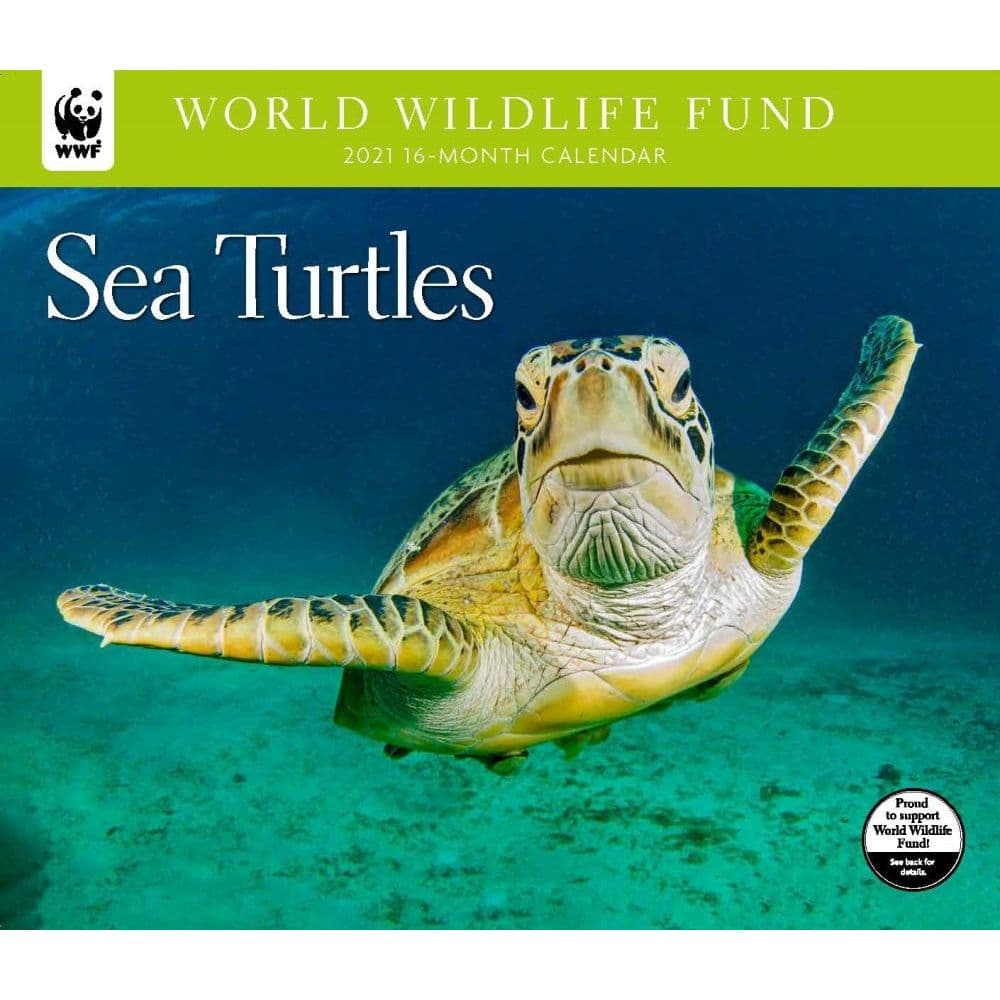 2021 Sea Turtles WWF Wall Calendar