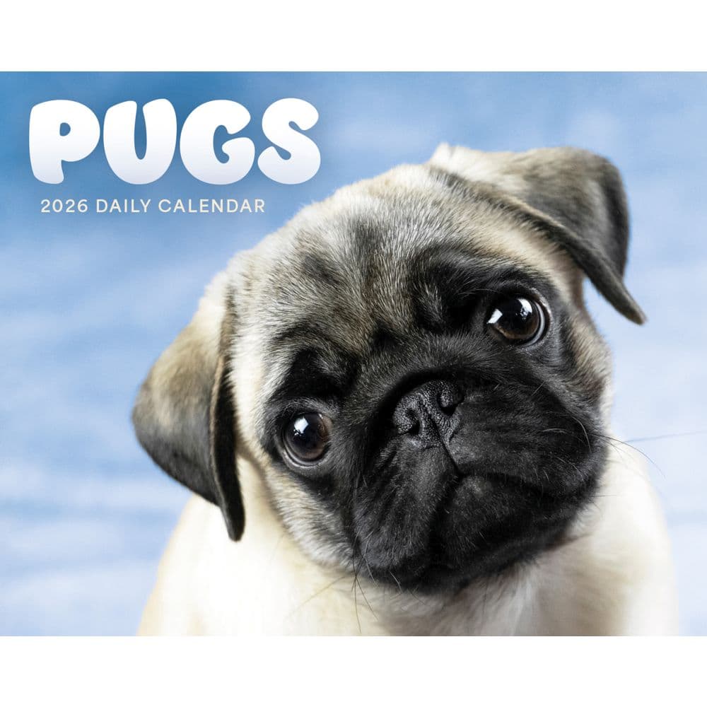 Pugs 2026 Desk Calendar  Main Image