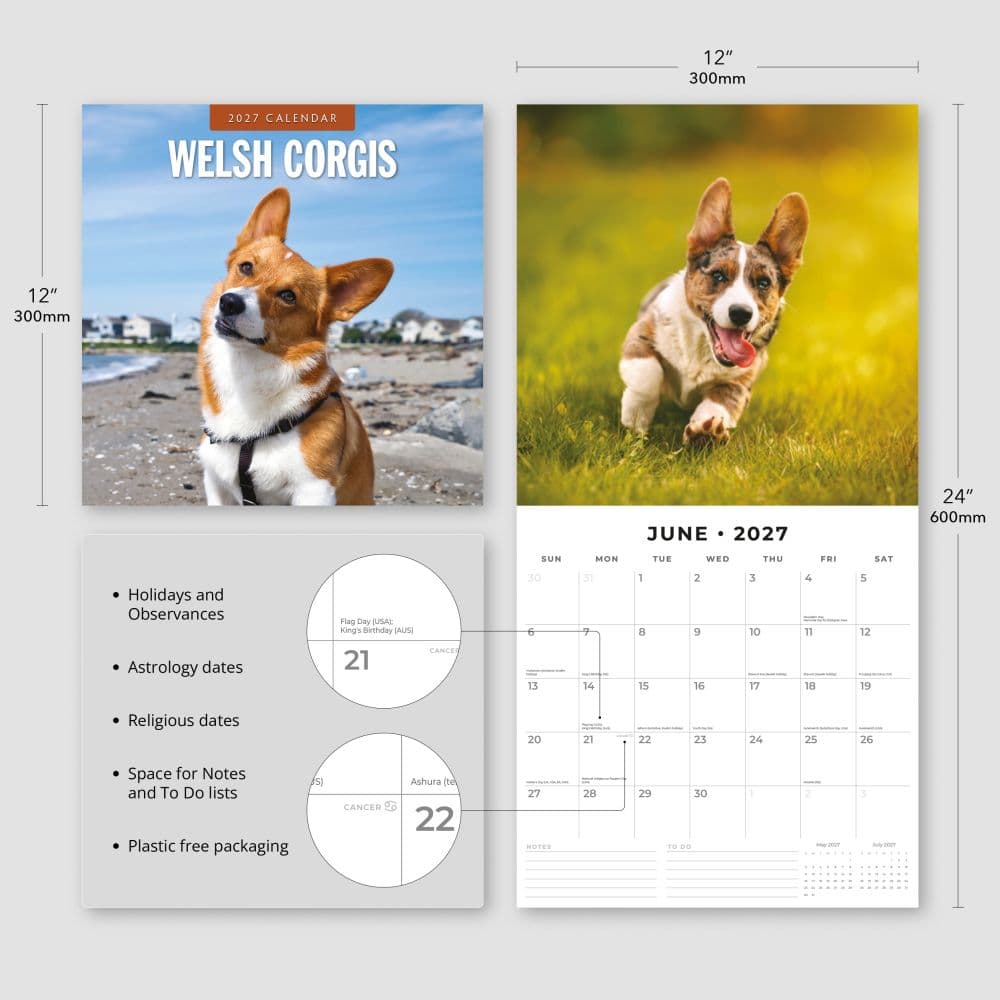 Welsh Corgis 2027 Wall Calendar Third Alternate Image