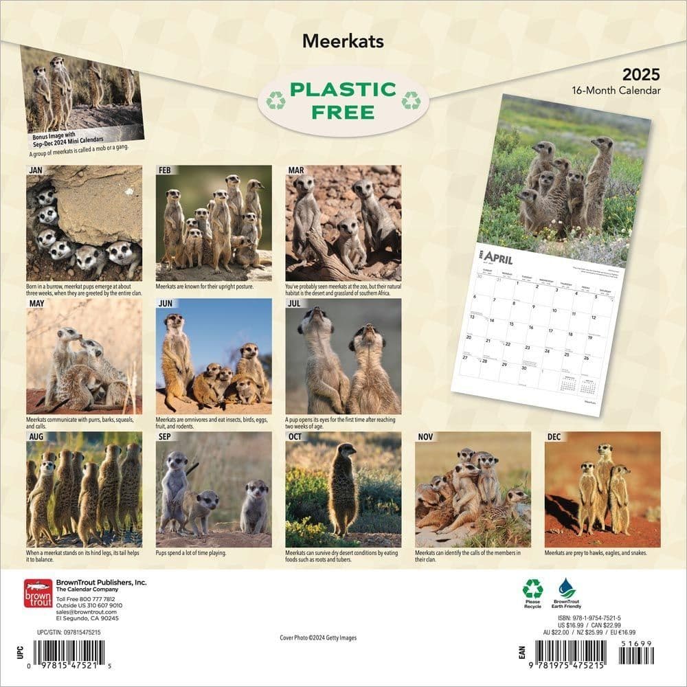 Meerkats 2025 Wall Calendar First Alternate Image