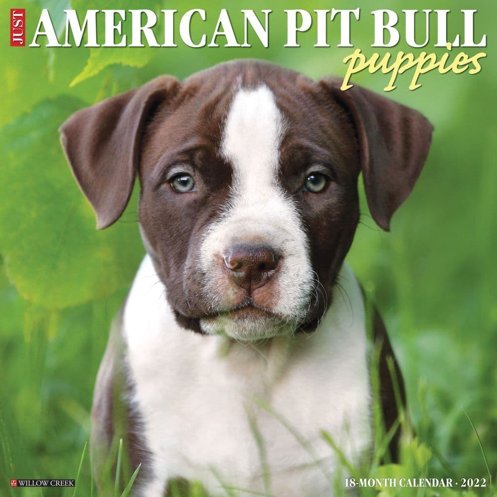 Just Pit Bull Terrier Puppies 2022 Wall Calendar