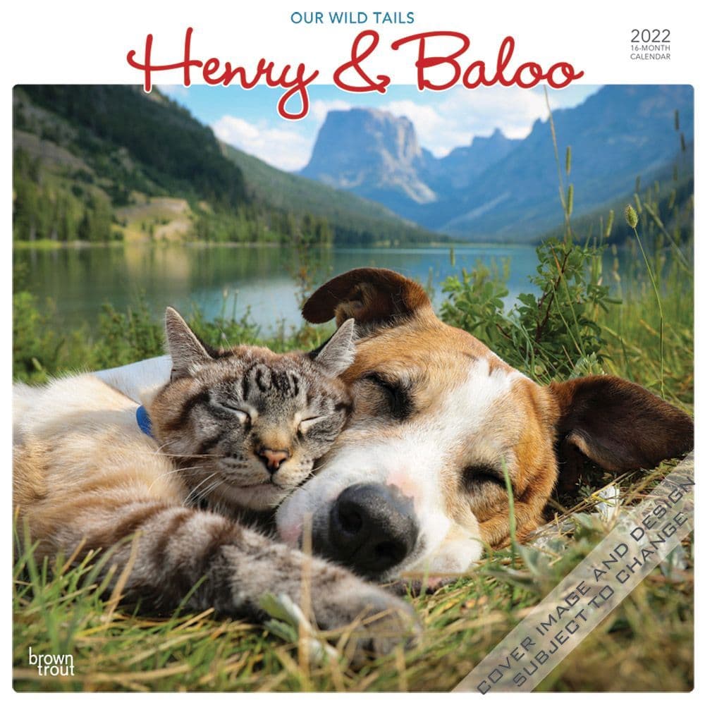 Henry and Baloo Our Wild Tails 2022 Wall Calendar
