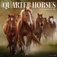 image American Quarter Horses 2026 Wall Calendar Main Image