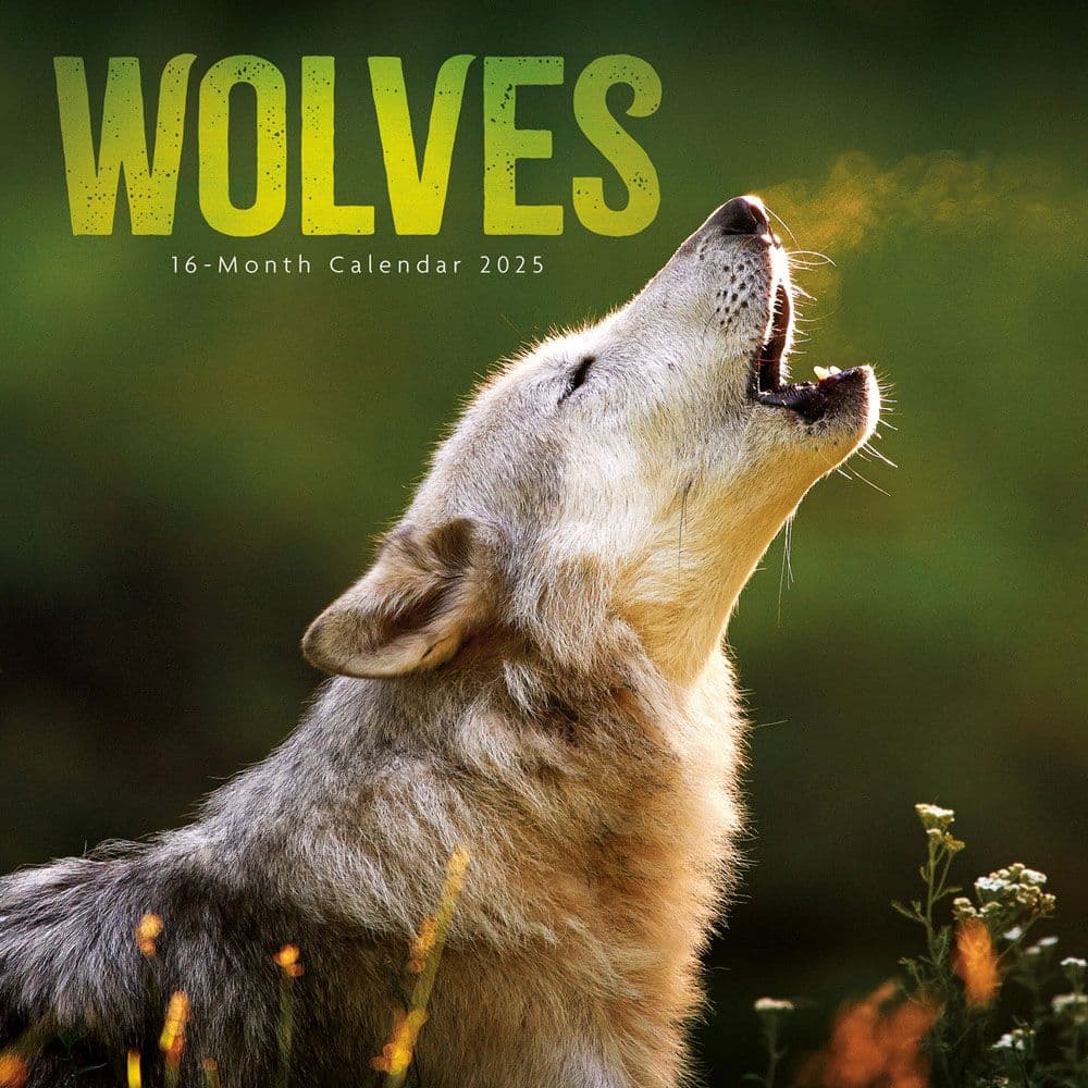 Wolves 2025 Wall Calendar