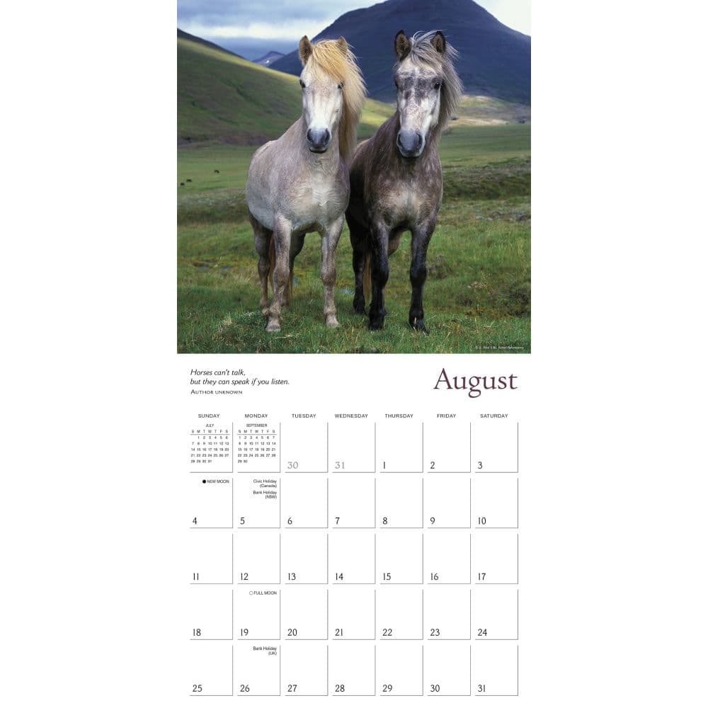 Spirited Horse 2024 Wall Calendar Calendars Com   C0d0d9a6 8de5 4574 9b21 F7dc0a514668