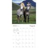image Spirited Horse 2024 Wall Calendar Alternate Image 3
