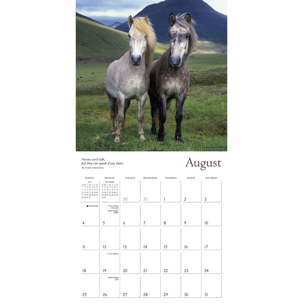Spirited Horse 2024 Wall Calendar Alternate Image 3
