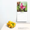 image Mindful Living 2025 Wall Calendar