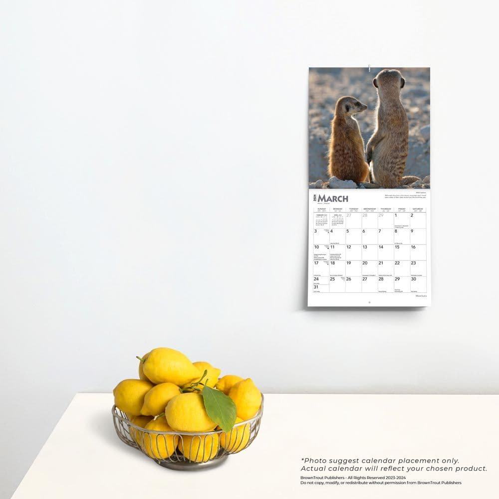 Meerkats 2024 Mini Wall Calendar Third Alternate Image width=&quot;1000&quot; height=&quot;1000&quot;