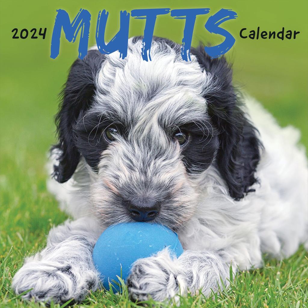 Mutts 2024 Wall Calendar Main Image