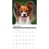 image Just Papillons 2025 Wall Calendar Second Alternate Image width="1000" height="1000"