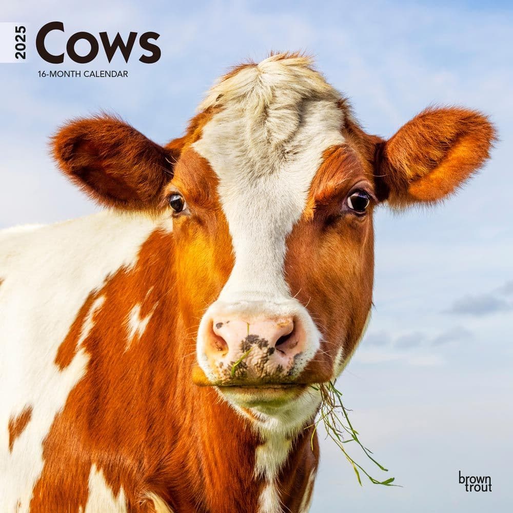 Cow Calendar August 2025