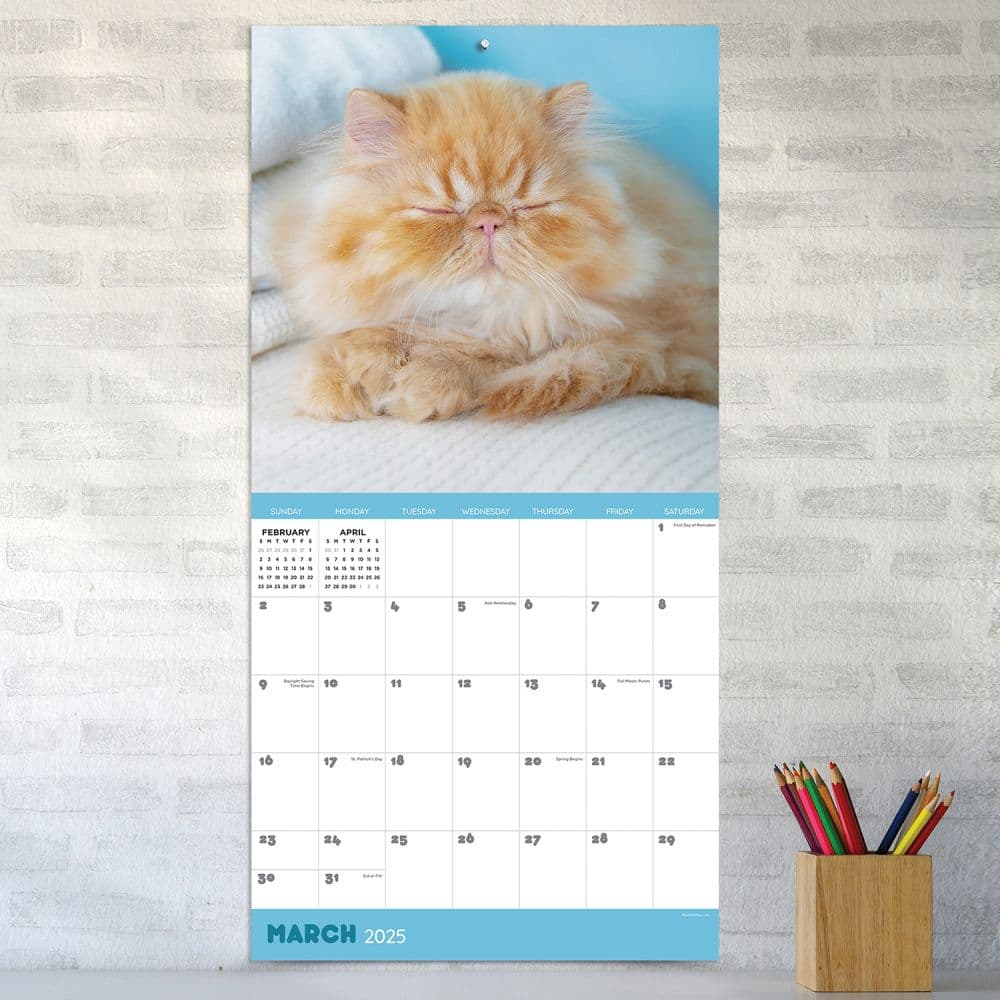 Cat Dreams 2025 Wall Calendar Third Alternate Image width=&quot;1000&quot; height=&quot;1000&quot;
