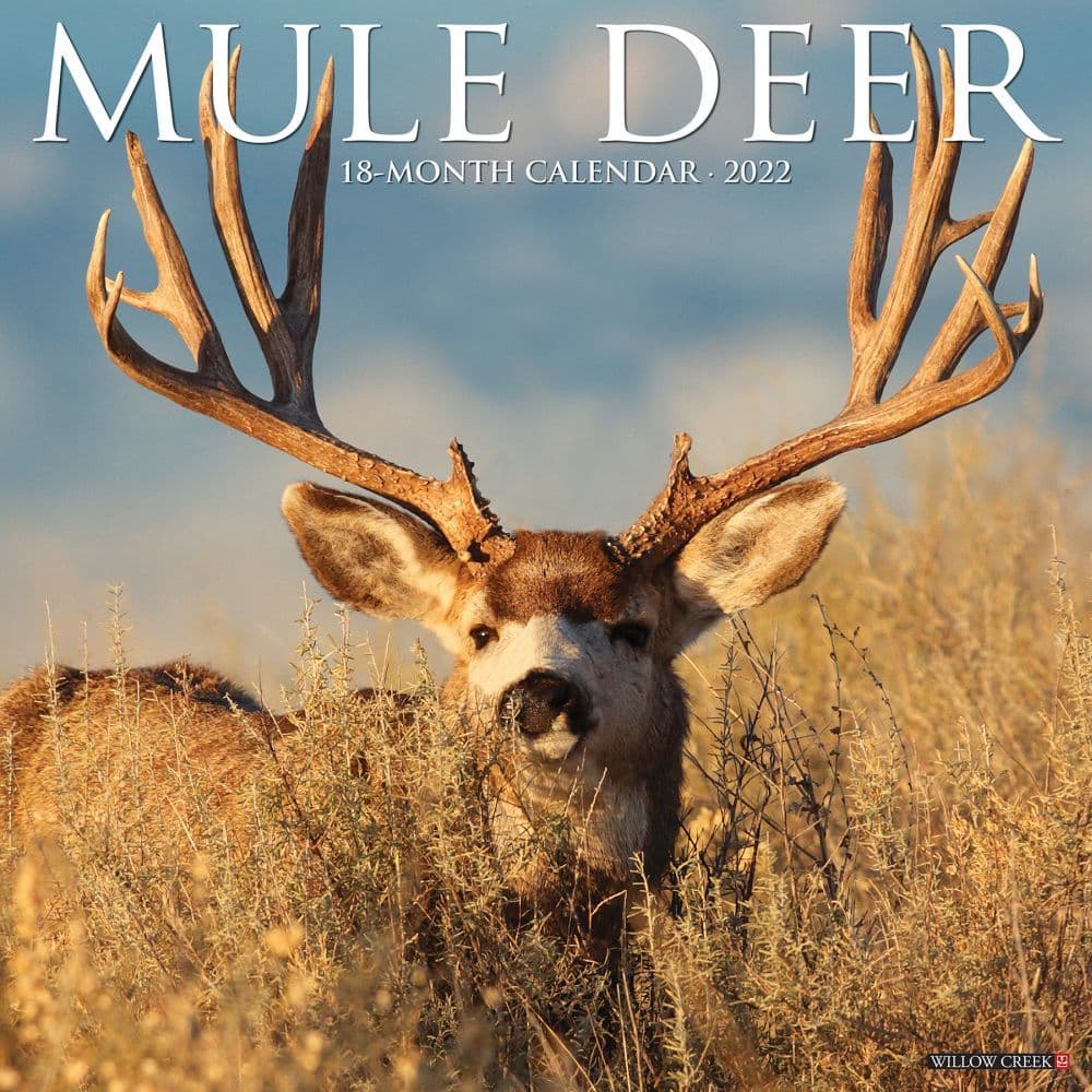 Mule Deer 2022 Wall Calendar