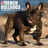 image Just French Bulldogs 2025 Wall Calendar Main Image