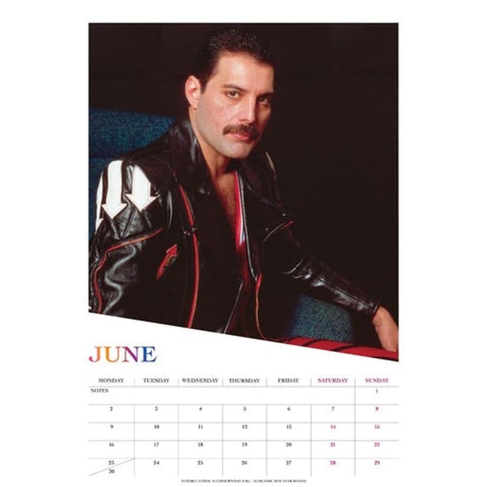 Freddie Mercury Poster 2025 Wall Calendar Third Alternate Image