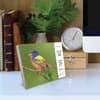 image Backyard Birds 2027 Desk Calendar Second Alternate Image