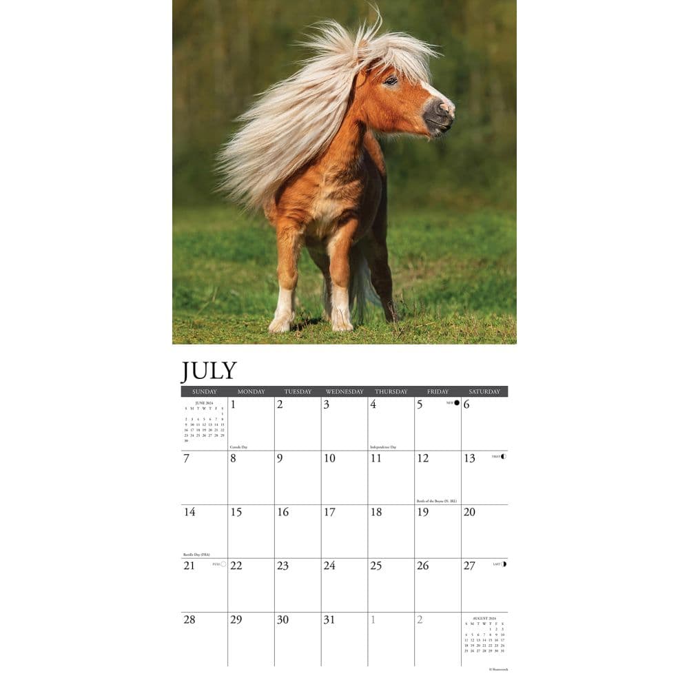 Ponies 2024 Wall Calendar