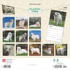 image Great Pyrenees 2025 Wall Calendar First Alternate Image width=&quot;1000&quot; height=&quot;1000&quot;