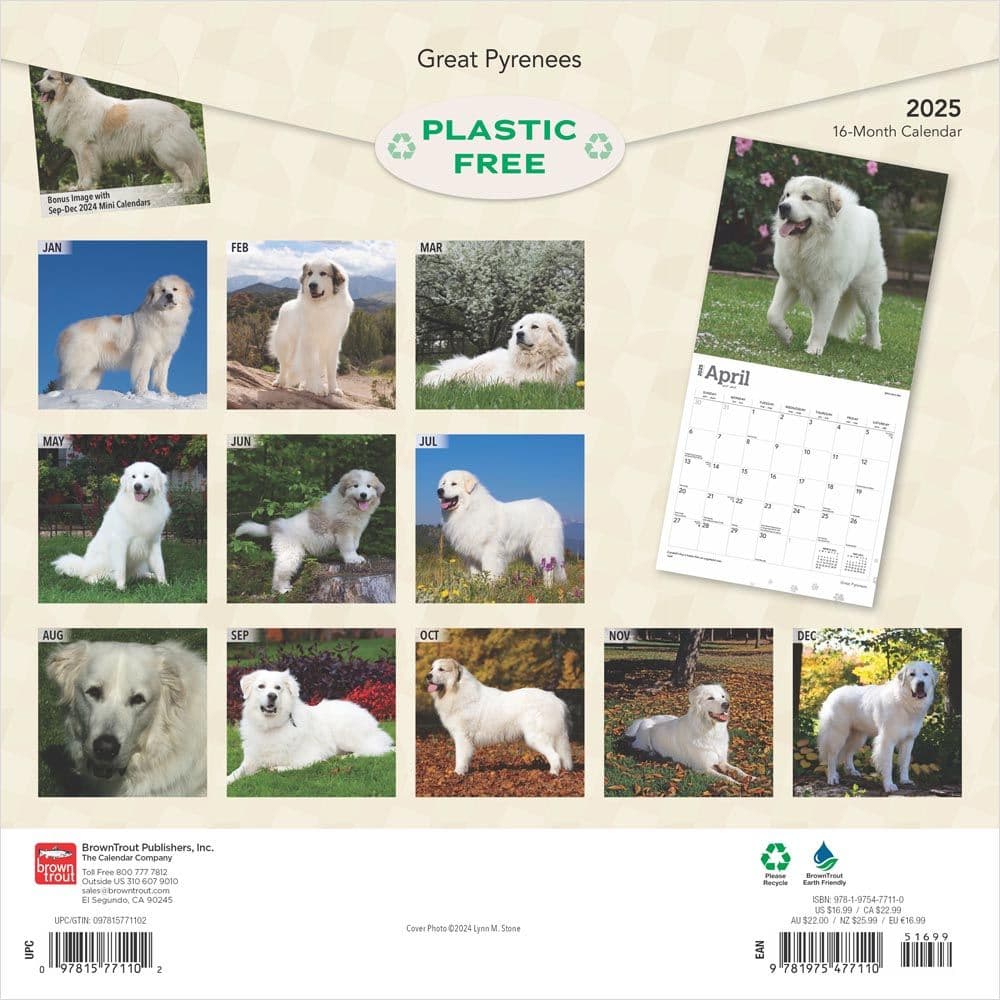 Great Pyrenees 2025 Wall Calendar