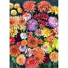 image Hello Dahlias 1000 Piece Puzzle Alternate Image 1