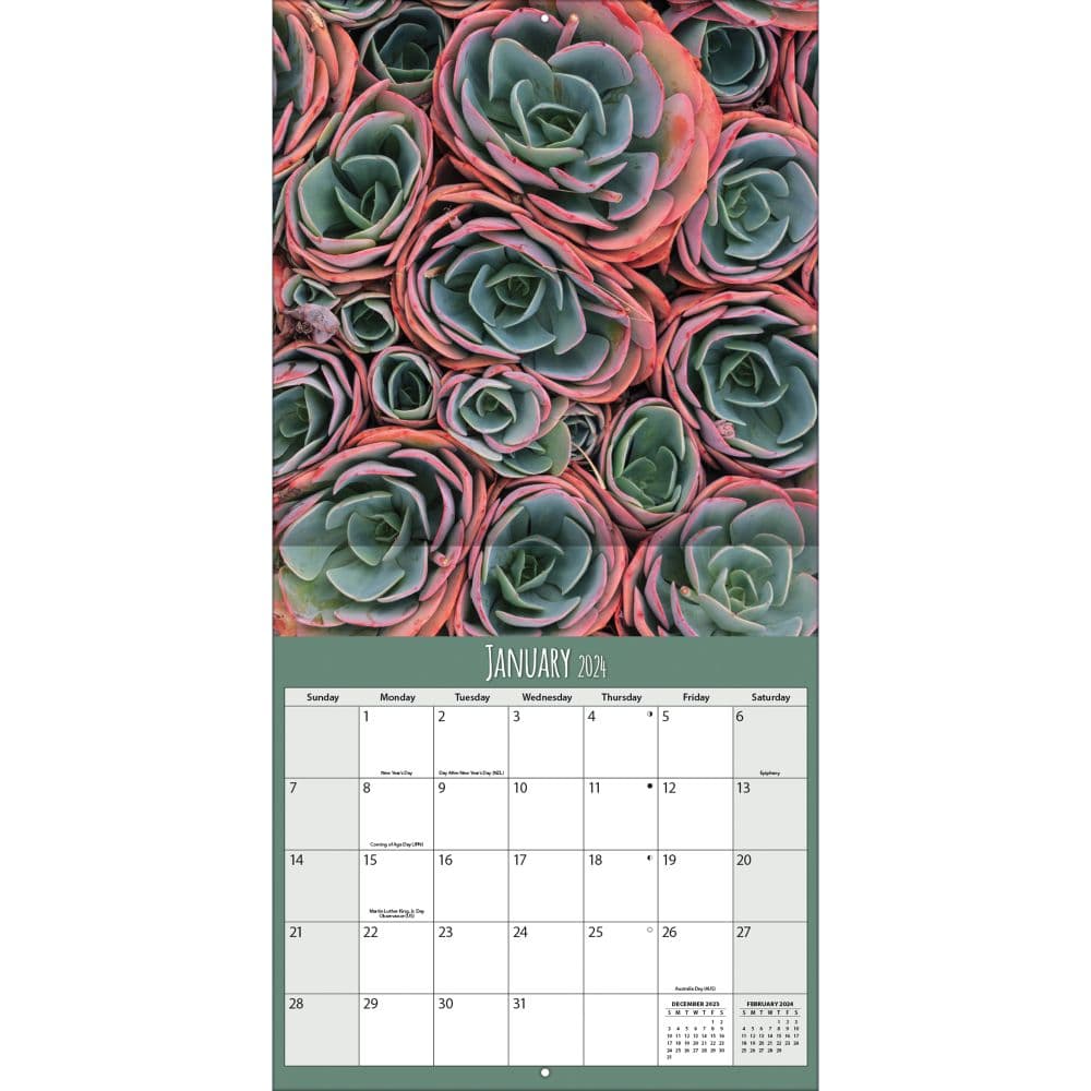 Succulents Photo 2024 Wall Calendar Second Alternate  Image width=&quot;1000&quot; height=&quot;1000&quot;