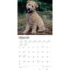 image Wheaten Terriers Soft Coated 2024 Wall Calendar Second Alternate Image width=&quot;1000&quot; height=&quot;1000&quot;
