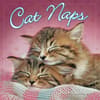 image Cat Naps 2024 Mini Wall Calendar Main Image