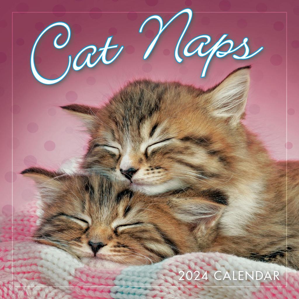 Cat Naps 2024 Mini Wall Calendar Main Image