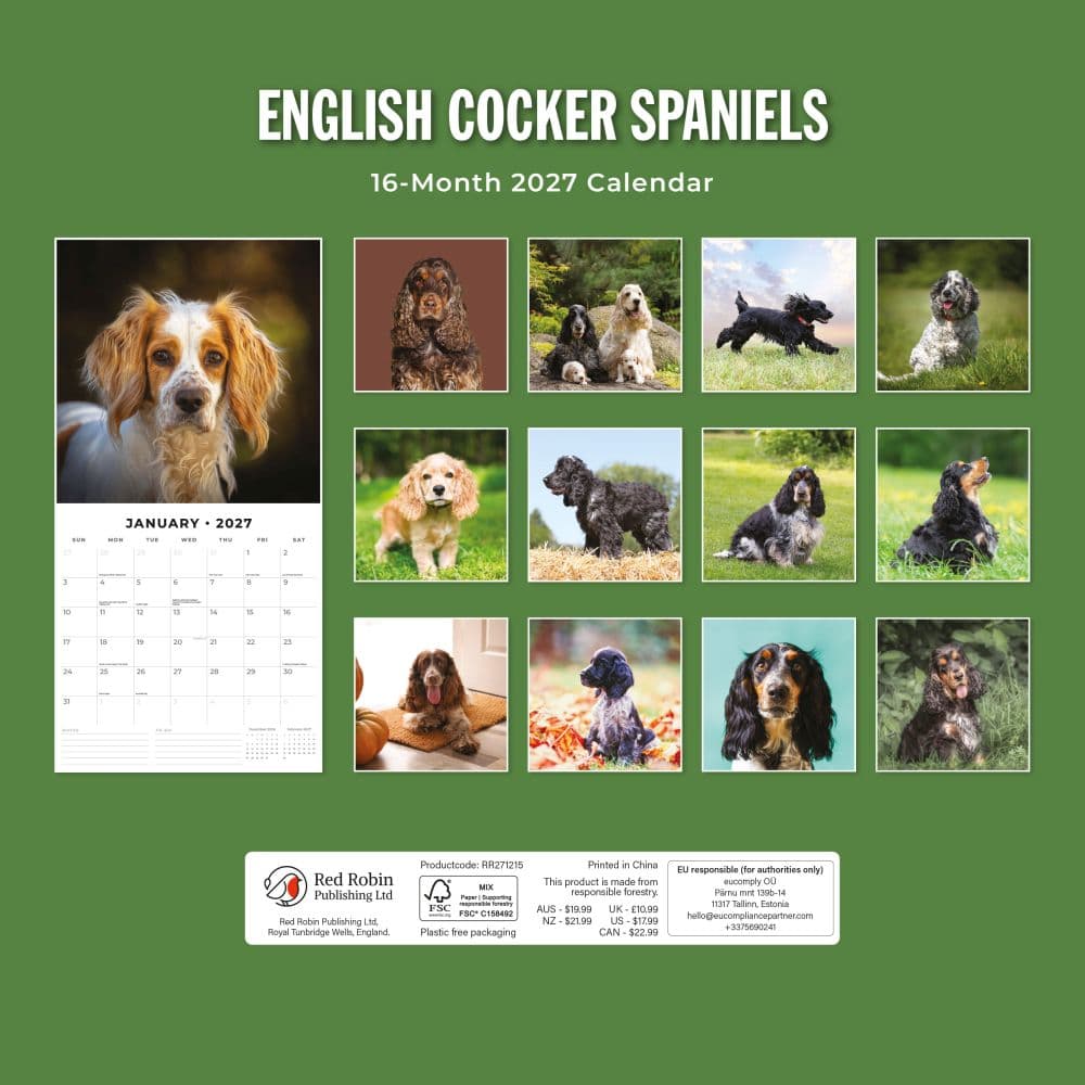 English Cocker Spaniels 2027 Wall Calendar First Alternate Image