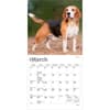image Beagle 2027 Mini Wall Calendar Second Alternate Image