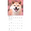 image Shiba Inu 2026 Wall Calendar Second Alternate Image