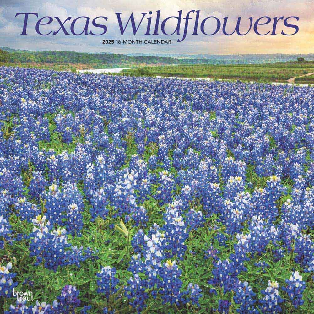 Texas Wildflowers 2025 Wall Calendar