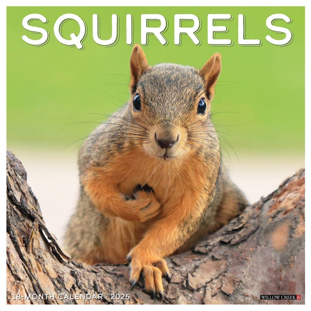 Squirrels 2025 Wall Calendar